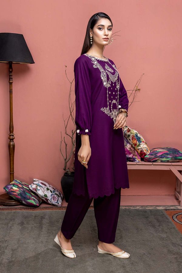 2 Pc Embroidered Dhanak CNP22-07